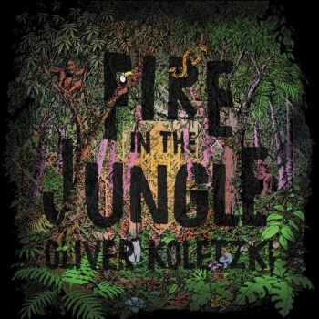 Oliver Koletzki - Fire In The Jungle (2019) MP3 скачать торрент альбом