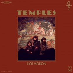 Temples - Hot Motion (2019) MP3 скачать торрент альбом