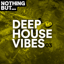 VA - Nothing But... Deep House Vibes Vol.03 (2019) MP3 скачать торрент альбом