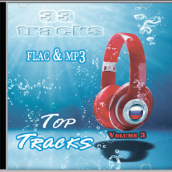 VA - Top Tracks RU Vol 3 (2019) MP3 скачать торрент альбом
