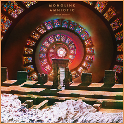 Monolink - Amniotic [Deluxe Version] (2019) MP3 скачать торрент альбом
