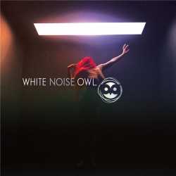 White Noise Owl - Condition Critical (2019) MP3 скачать торрент альбом