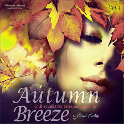 VA - Autumn Breeze Vol.3: Chill Sounds For Relaxing Moments (2019) FLAC скачать торрент альбом