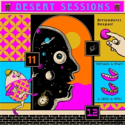 Desert Sessions - Vols. 11 & 12 (2019) FLAC скачать торрент альбом