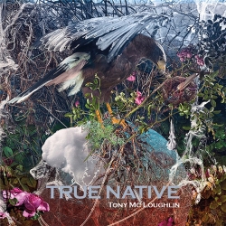 Tony McLoughlin - True Native (2019) MP3 скачать торрент альбом