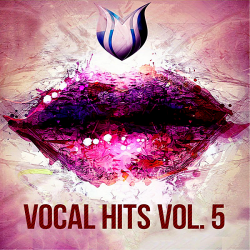 VA - Vocal Hits Vol.5 (2020) MP3 скачать торрент альбом