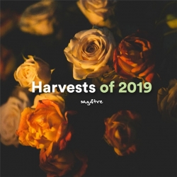 VA - David Soto: Harvests of 2019 (2020) MP3 скачать торрент альбом