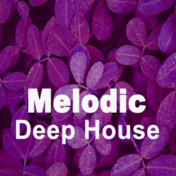 VA - Melodic Deep House (2019) MP3 скачать торрент альбом