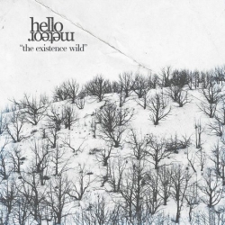Hello Meteor - The Existence Wild (2020) MP3 скачать торрент альбом