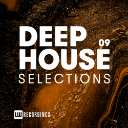 VA - Deep House Selections Vol.09 (2020) MP3 скачать торрент альбом