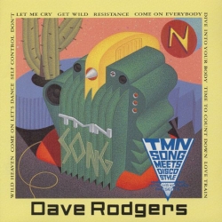 Dave Rodgers - TMN Song Meets Disco Style (1992) MP3 скачать торрент альбом