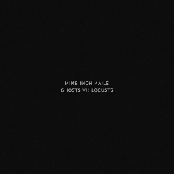 Nine Inch Nails - Ghosts VI: Locusts (2020) MP3 скачать торрент альбом
