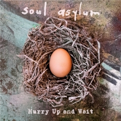 Soul Asylum - Hurry up and Wait (2020) MP3 скачать торрент альбом