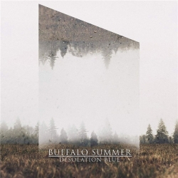 Buffalo Summer - Desolation Blue (2020) FLAC скачать торрент альбом