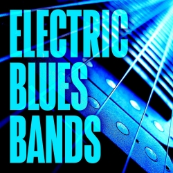 VA - Electric Blues Bands (2021) MP3 скачать торрент альбом