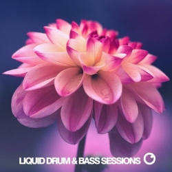 VA - Liquid Drum & Bass Sessions: Vol 9 [WEB] (2020) FLAC скачать торрент альбом