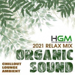 VA - Organic Sound (2021) MP3 скачать торрент альбом