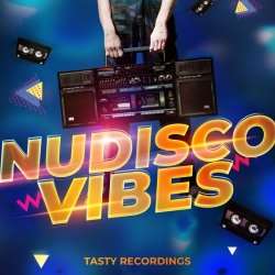 VA - Nudisco Vibes (2021) MP3 скачать торрент альбом