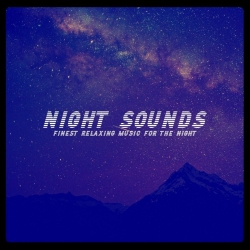 VA - Night Sounds (2021) MP3 скачать торрент альбом