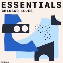 VA - Chicago Blues Essentials (2021) MP3 скачать торрент альбом