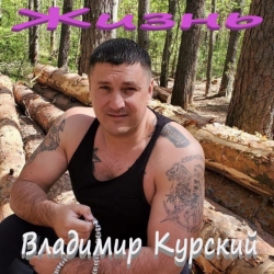 Владимир Курский - Жизнь (2021) MP3 скачать торрент альбом