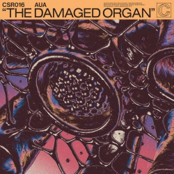 Aua - The Damaged Organ (2022) MP3 скачать торрент альбом