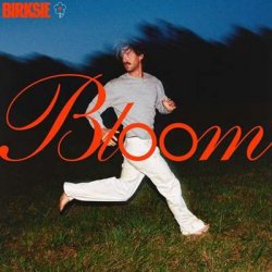 Birksie - Bloom (2024) MP3 скачать торрент альбом