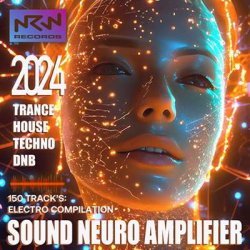 VA - Sound Neuro Amplifier (2024) MP3 скачать торрент альбом