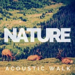 VA - Nature - Acoustic Walk (2024) MP3 скачать торрент альбом