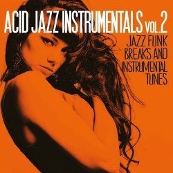 VA - Acid Jazz Instrumentals: Jazz Funk Breaks Instrumental Tunes [Vol. 2] (2024) FLAC скачать