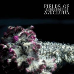 Fields Of Næcluda - Ubuntu (2024) MP3 скачать торрент альбом