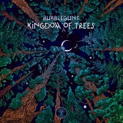 Bubbleguns - Kingdom Of Trees (2024) MP3 скачать торрент альбом