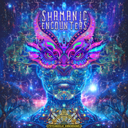 VA - Shamanic Encounters (2024) MP3 скачать торрент альбом