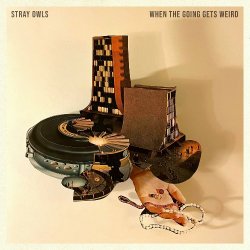 Stray Owls - When The Going Gets Weird (2024) MP3 скачать торрент альбом